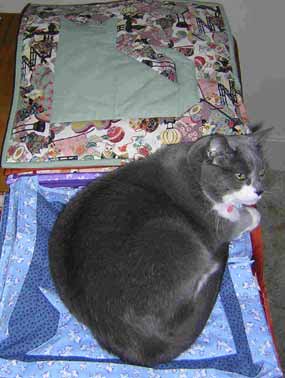 Princess on cat mat